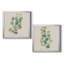 Eucalyptus I - ensemble de 2 reproductions d'art-2097958760-2097958763-2097958768