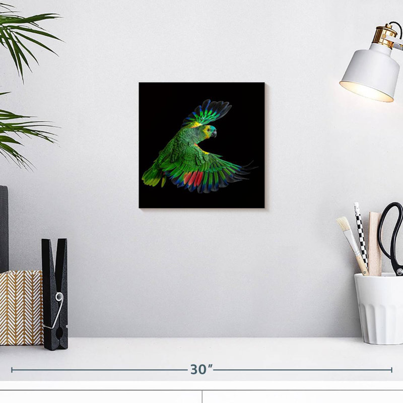 Brampt Flying Parrot, 10" H x 10" W