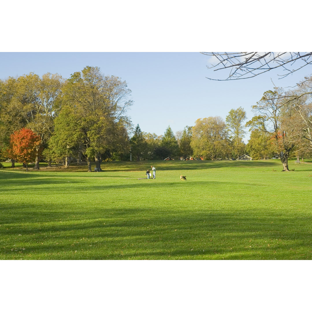 Üppige grüne Wiese in einem Park im Herbst