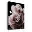 Rose noire II - photographie-1227699012-1227699014