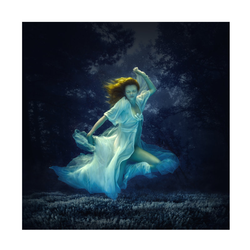 Art sur toile «Dmitry Frizel Dream», H 18 po x l 18 po