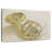 French Horn Instrument