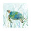 Sea Turtle Swim II by Carol Robinson - Print on Canvas-56677835-50029479