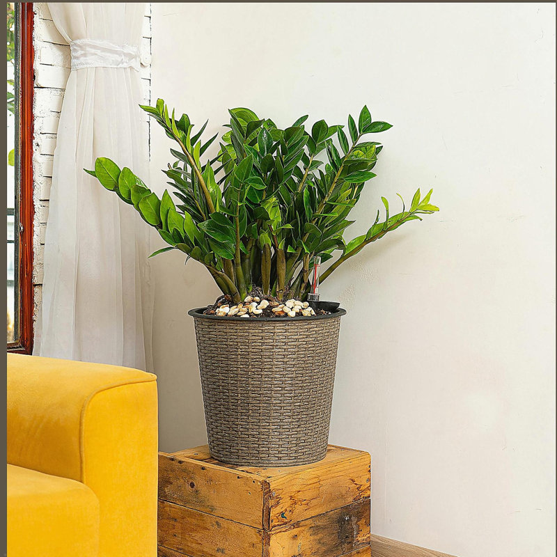 13 in.Gray Wicker Self-watering Planter, 12'' H x 13'' W x 13'' D, Gray
