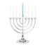 Roseland Menorah-2106433019