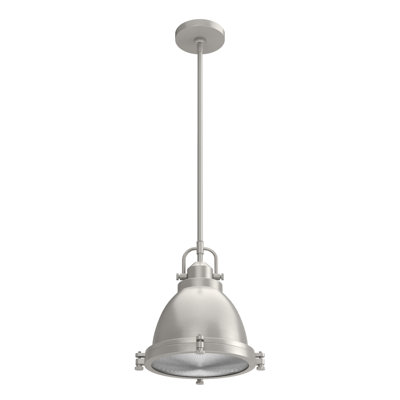 Bridgemoor 1 Light Dome Pendant