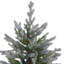 Sapin de Noël givré-63647326