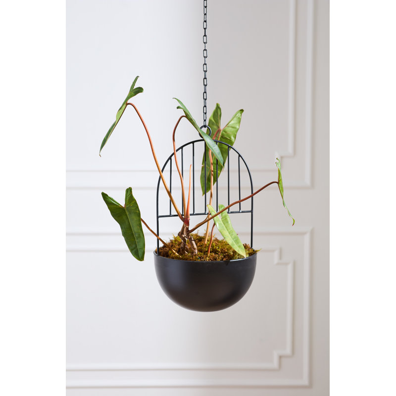 Pot à fleurs suspendu Hestia 12,25 po x 39 po