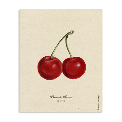 Portrait de cerise, toile par Danielle Murray