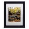 framed forest creek photography