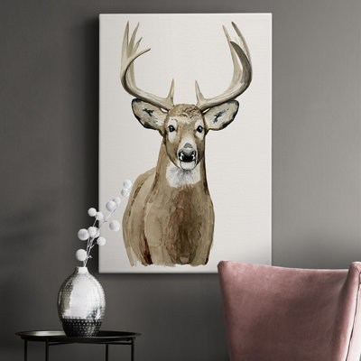 Handsome Whitetail II " Handsome Whitetail II "