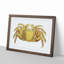 Crab by George Shaw - Framed Print-55621257-55621260
