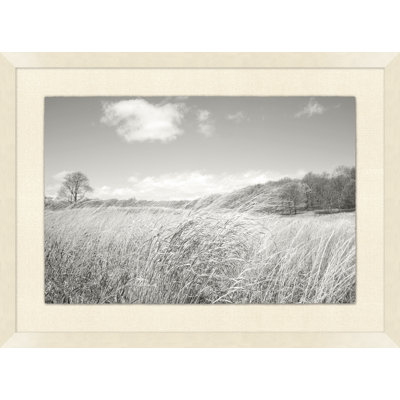 Windy Grasses Print by Lillian August