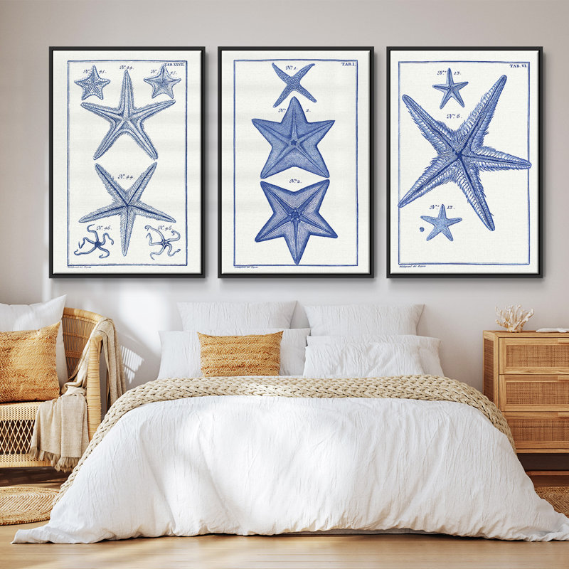 Blue Sea Stars I - ensemble de 3 reproductions de photos sur toile, Noir, H 27 po x l 54 po