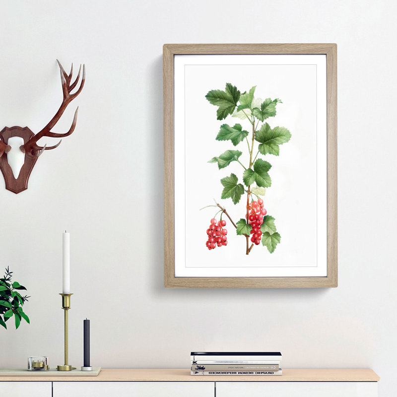 Redcurrant Flowers by Pierre-Joseph Redoute - Picture Frame Painting Print, Oak Framed, 65cm H x 48cm W x 2cm D