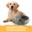 Gamelle pour chien en marbre naturel avec revêtement antidérapant-115997567-115997571