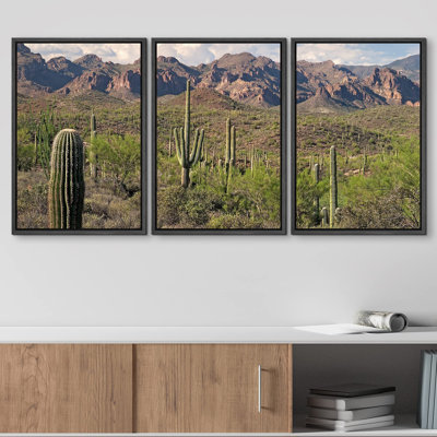 Saguaros in Sonoran Desert Modern Photo Landscape Wall Decor