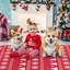 Tapis de Noël Holiday