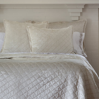 Chloe Velvet Feathers Geometric Euro Pillow