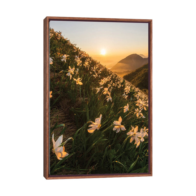 Daffodils by Ales Krivec - Print on Canvas