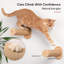 Ensemble de hamac mural pour chat - tablettes murales pour chat et meubles avec marches d'escalade pour grands chats, capacité de 35 lb, escalade et détente à l'intérieur, coussin remplaçable