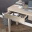 Birglinde Writing Desk-1700667135