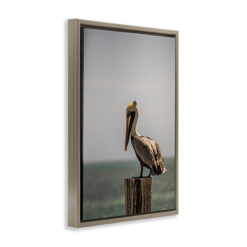 «Nautical Landscape Pelican Brown», toile flottante encadrée par Aaron Matheson, Cadre flottant orme Montalcino