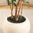8ft Artificial Ficus Tree with White Tall Planter, Faux Ficus Tree with Natural Trunk