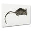 Mouse by Jean Bernard - Wrapped Canvas-55360576