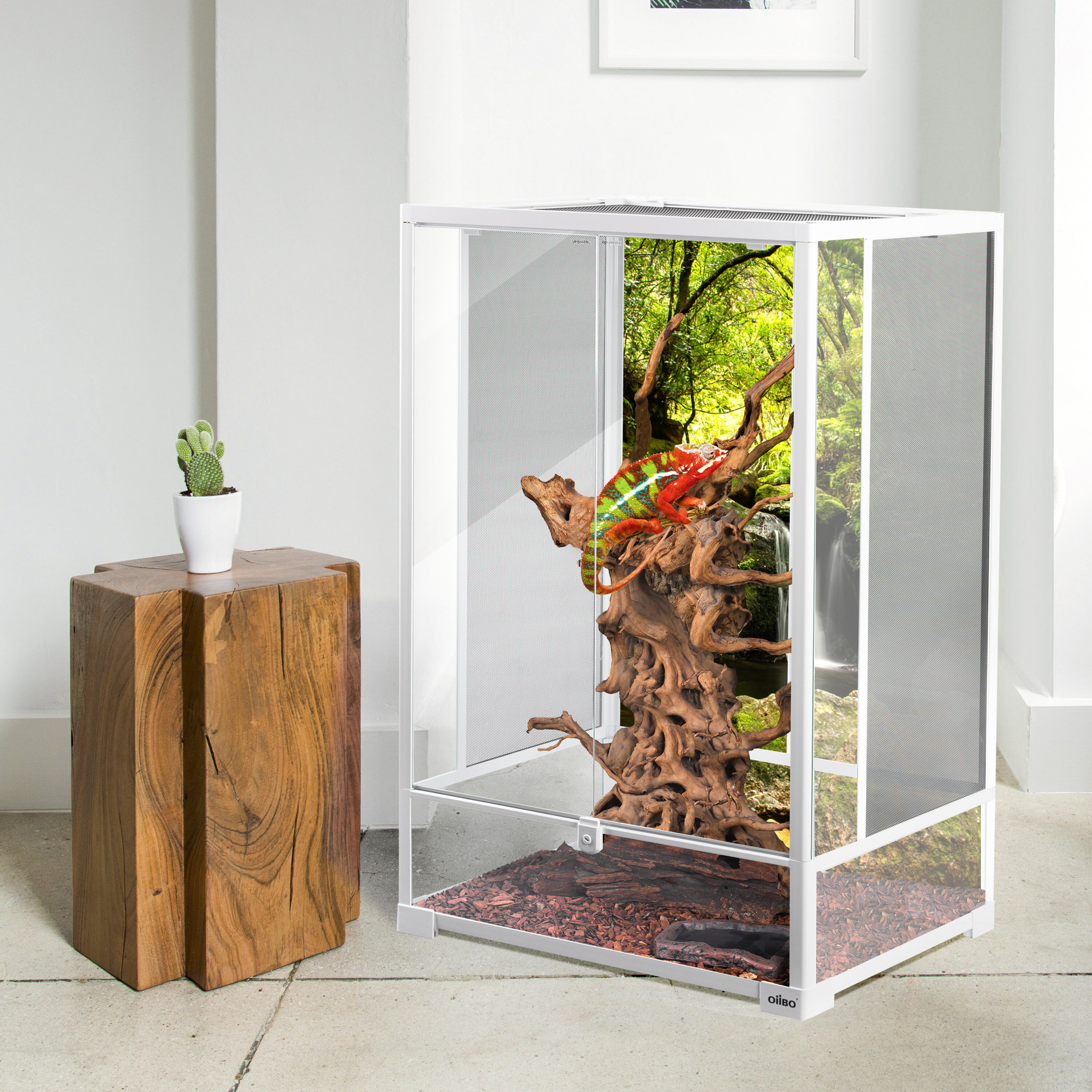 OiiBO 55 Gallon Terrarium & Reviews - Wayfair Canada