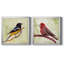 Backyard Birds I - Ensemble de 2 cadres photo sur toile-665859511-665859515