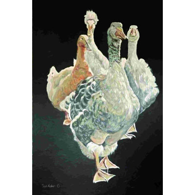 Duck Quartet 2884150