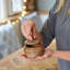 Makula Natural Mango Wood Bowl with Lid-396019976