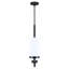 Janeeta 4-Light Chandelier