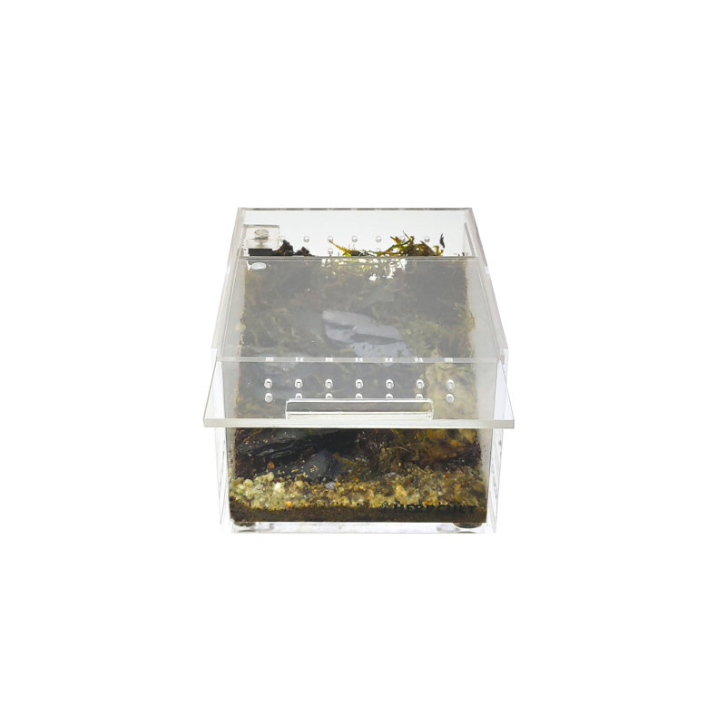 Acrylic Enclosure- Mini Flat Clear
