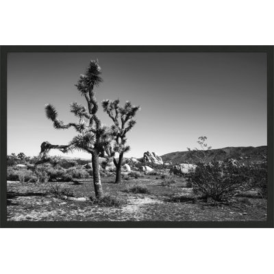 Joshua Tree 2 Print by Christopher Kennedy