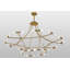 Ison 36 - Light Chandelier