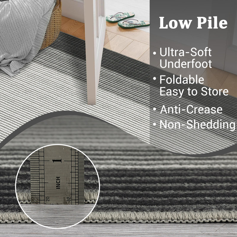 Modern Striped Bordered Printed (Not Woven)Rugs for Living Room Bedroom Decor Washable Low Pile Laundry Rug Simple Neutral Carpet for Office Home Decor