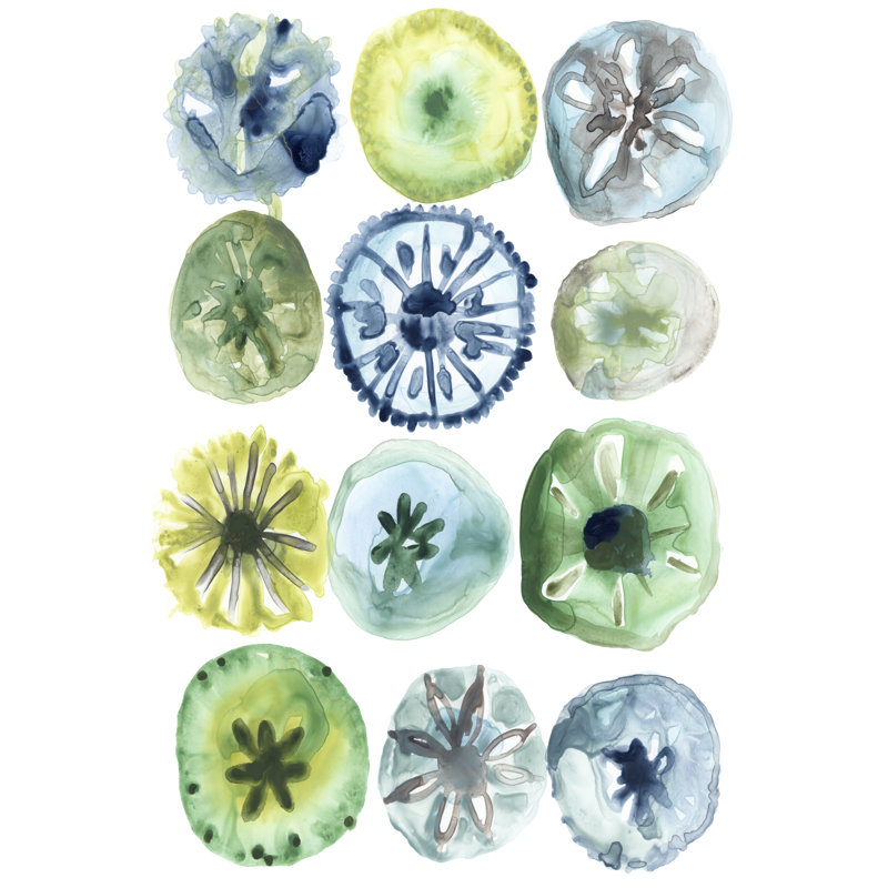 Sea Urchin Assortment II by June Erica Vess - Painting on Canvas, 122cm H x 81cm W, Wrapped Canvas