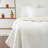 Bohannon Cotton Striped Sham - Standard-779660938-721713992