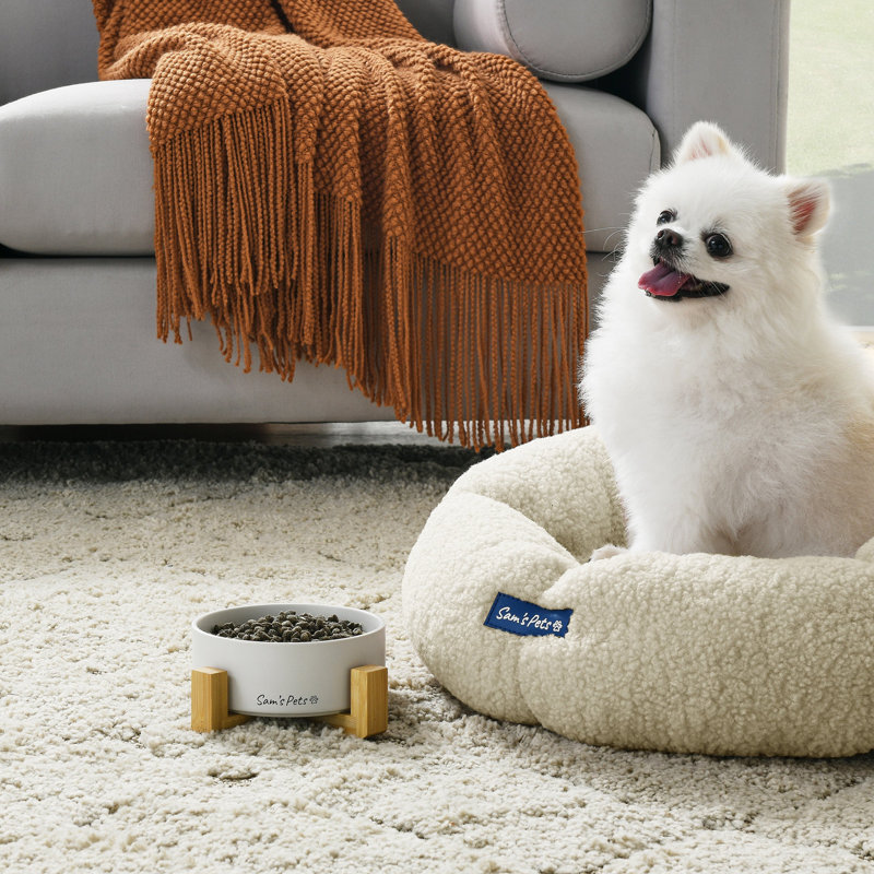 Coco Pet Bowl, White