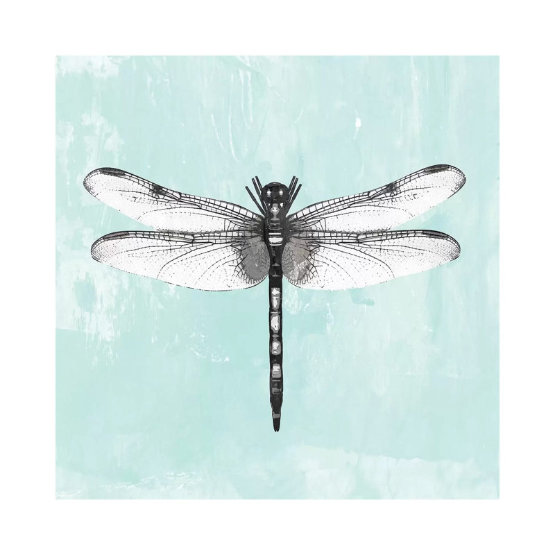 Dragonfly I - Wrapped Canvas Print, 45.72 cm H x 45.72 cm W x 1.91 cm D