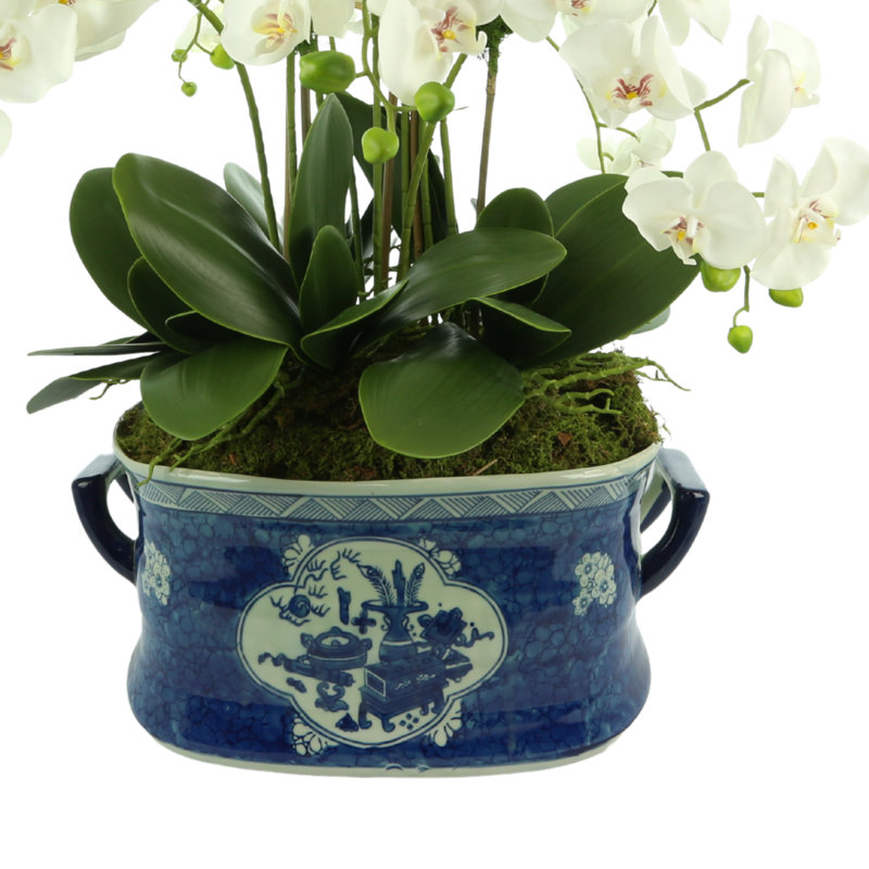 Orchid Arrangement in Decorative Ceramic Planter