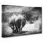 Walking Rhinos In Abstract - Wrapped Canvas-55301732
