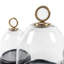 Glass Cloche, Set Of 3