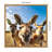 Drumheller by The Creative Bunch Studio-1212810708