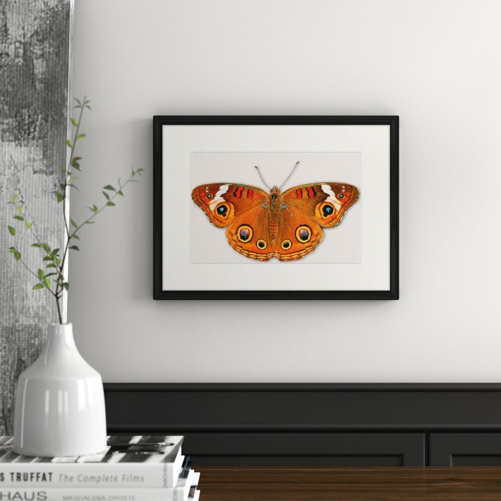 Gerahmtes Poster Schmetterling-Serie 33