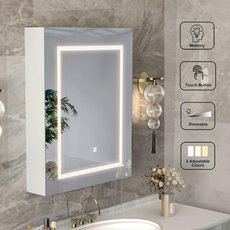 Armoire à pharmacie Glendine l 19,7 po x H 27,6 po avec miroir DEL et 2 tablettes fixes, Blanc