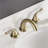 2-handle Bathroom Faucet with Drain Assembly-81246762