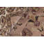 Hand-Knotted High-Quality Beige and Red Area Rug